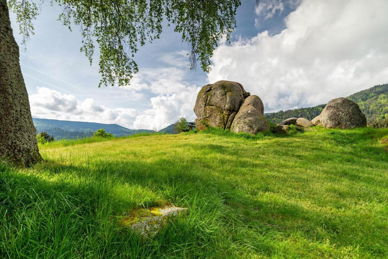 Apartament Bergblick Forbach Zewnętrze zdjęcie